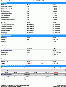 GI-MAP stool test - sample lab report