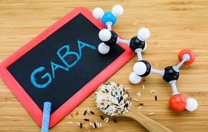 GABA molecule